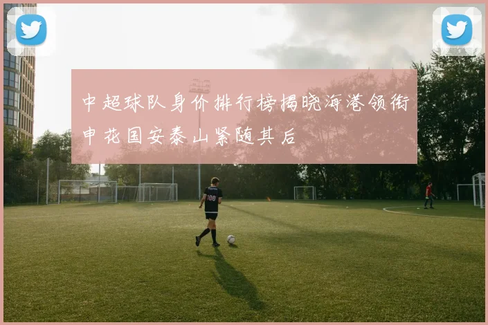 中超球队身价排行榜揭晓海港领衔申花国安泰山紧随其后