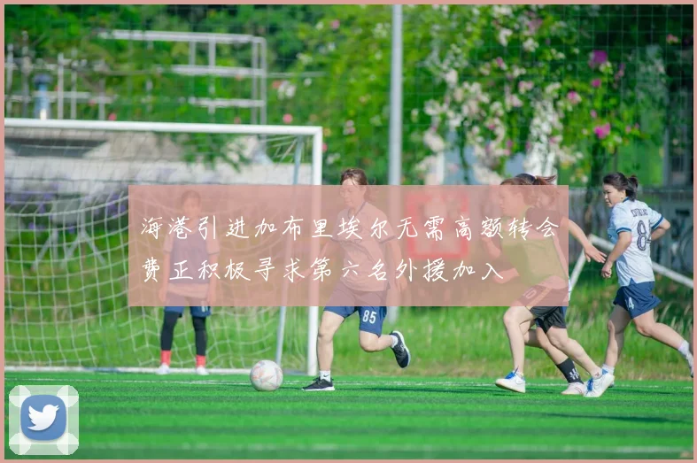 海港引进加布里埃尔无需高额转会费正积极寻求第六名外援加入